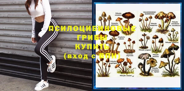 a pvp Усинск