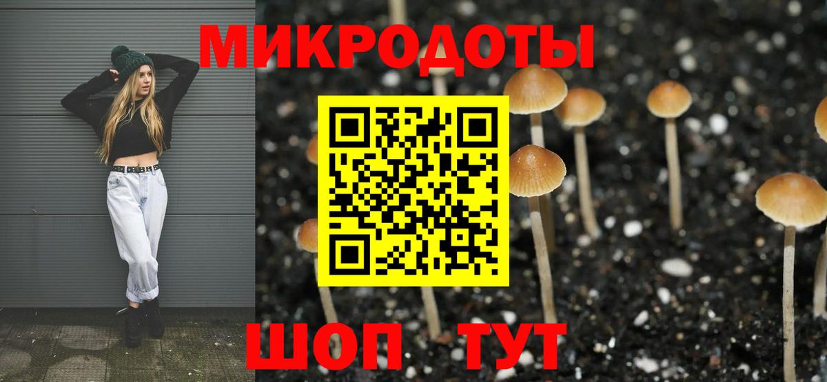 Псилоцибиновые грибы Cubensis Белая Калитва