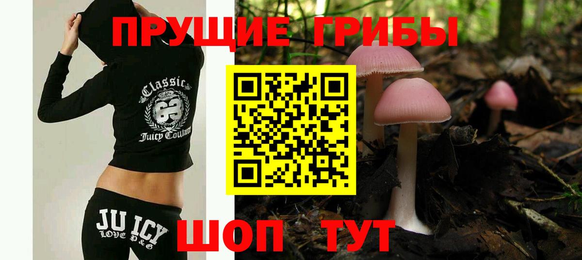 Псилоцибиновые грибы Psilocybe  Вход с VPN  Белая Калитва 